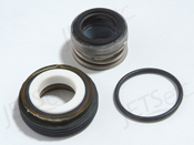 Pump Seals