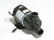 JACUZZI Vantage Pump                                               