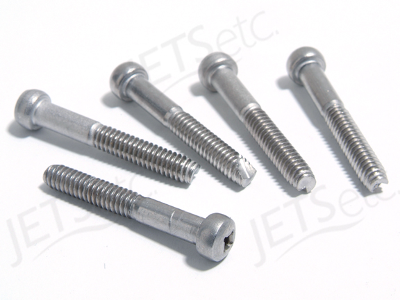 SHOWER DOOR CAP SCREW 47027, EACH                 