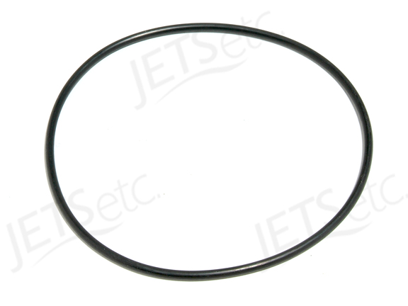 O-RING, ULTRA FLO PUMP HOUSING PPUFVO/R